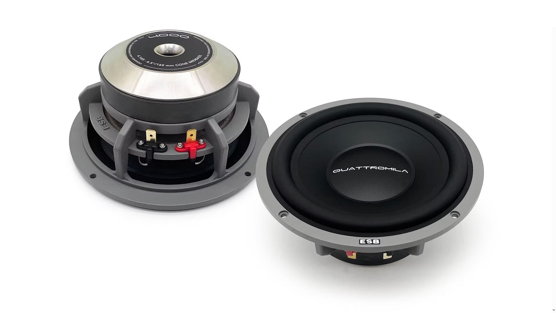 ESB 4.165 bass/midrange speaker (165 mm).